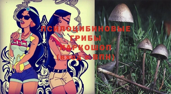 apvp Алзамай