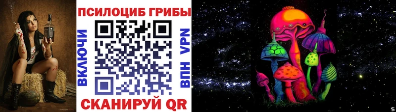Псилоцибиновые грибы Psilocybine cubensis  Колпашево 